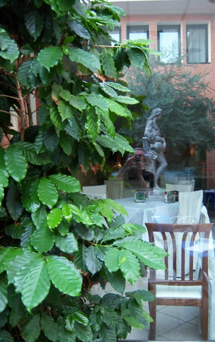 100_1768 small rajattu PADOVA.jpg - 298271 Bytes